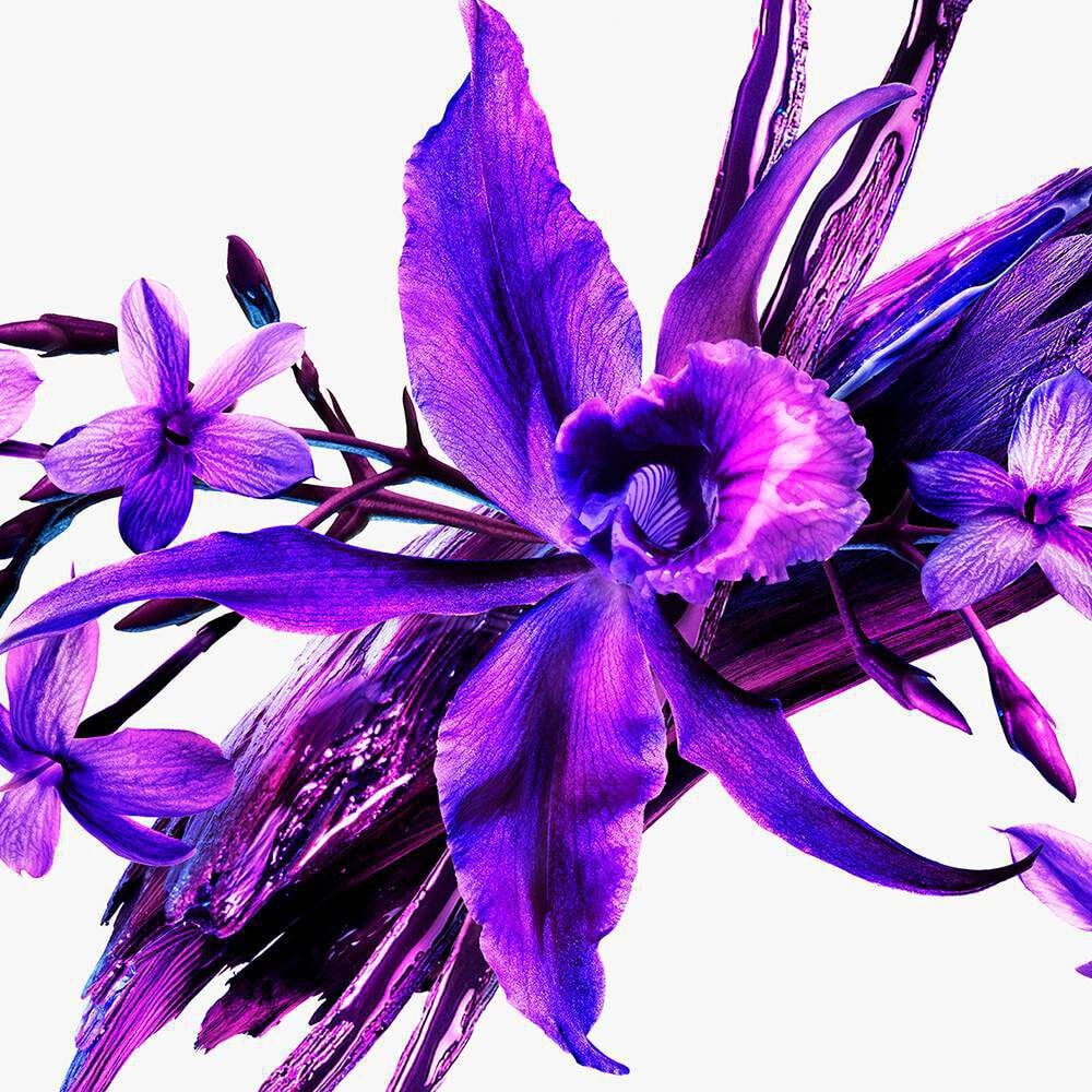 Mugler Alien Extraintense Eau de Parfum Gift Set