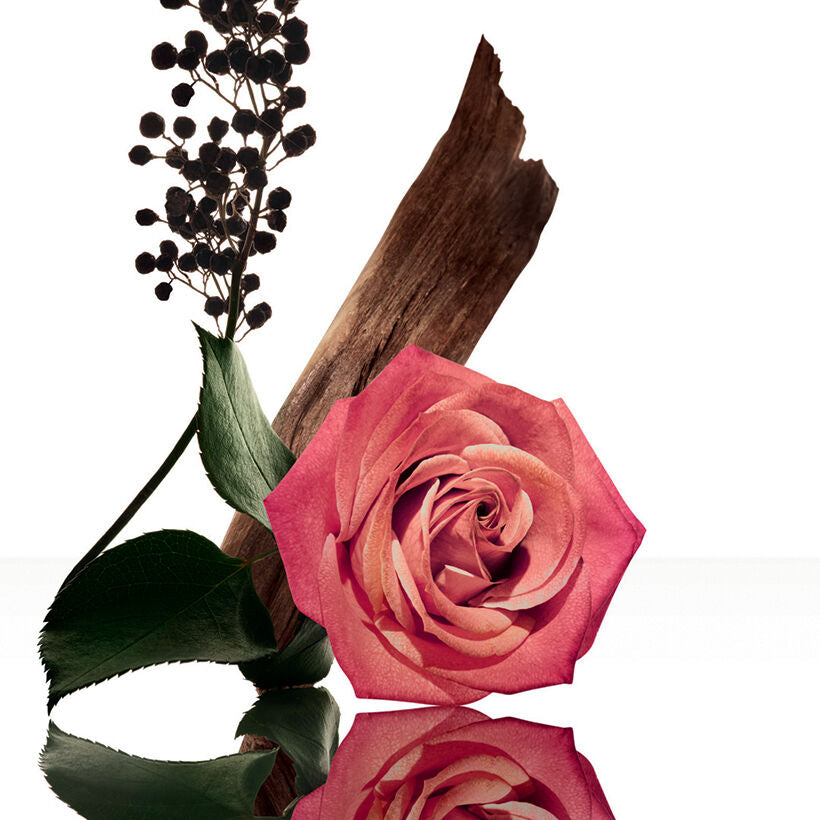 Narciso Rodriguez rose musc Eau de Parfum Intense