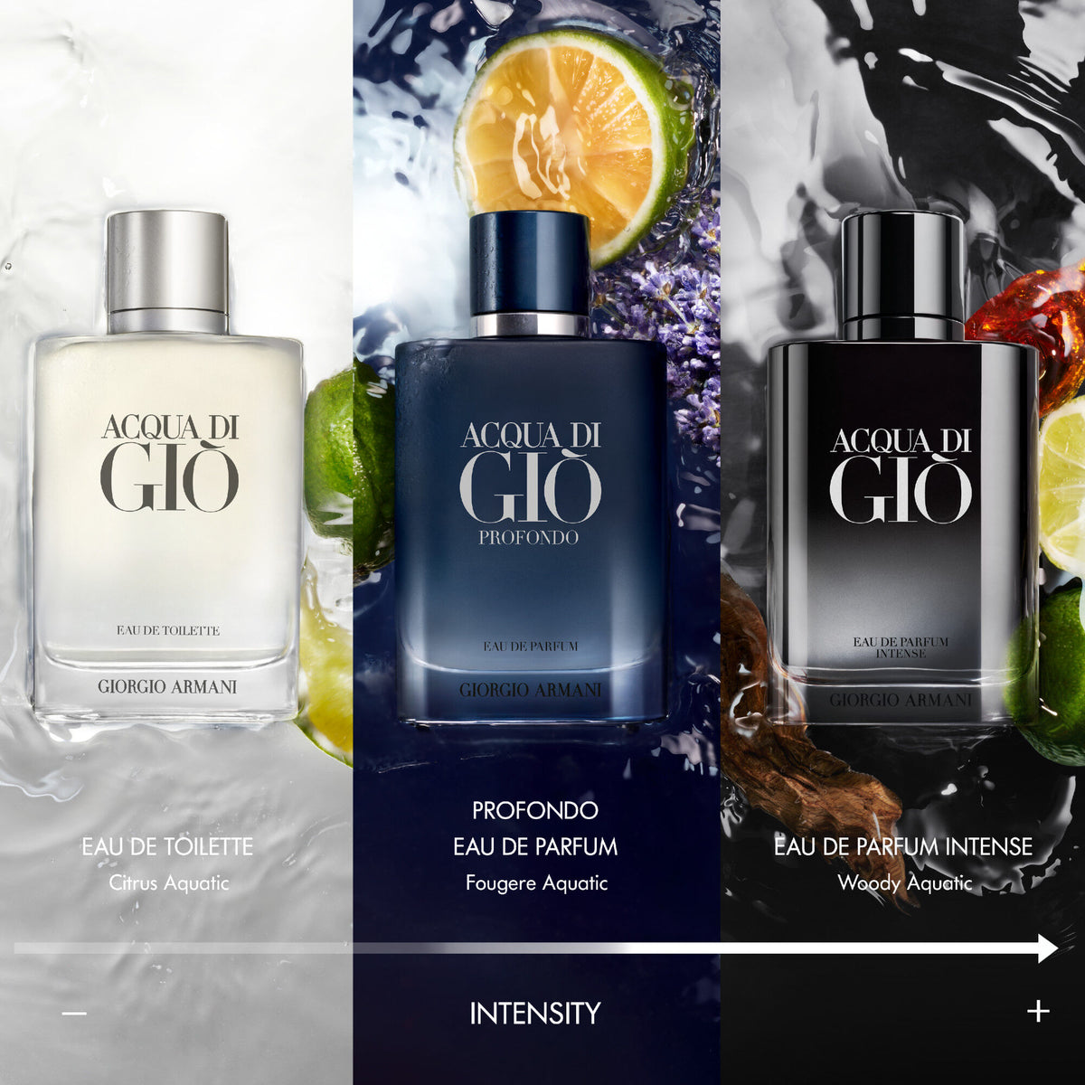 Giorgio Armani Acqua di Giò Eau de Parfum Intense