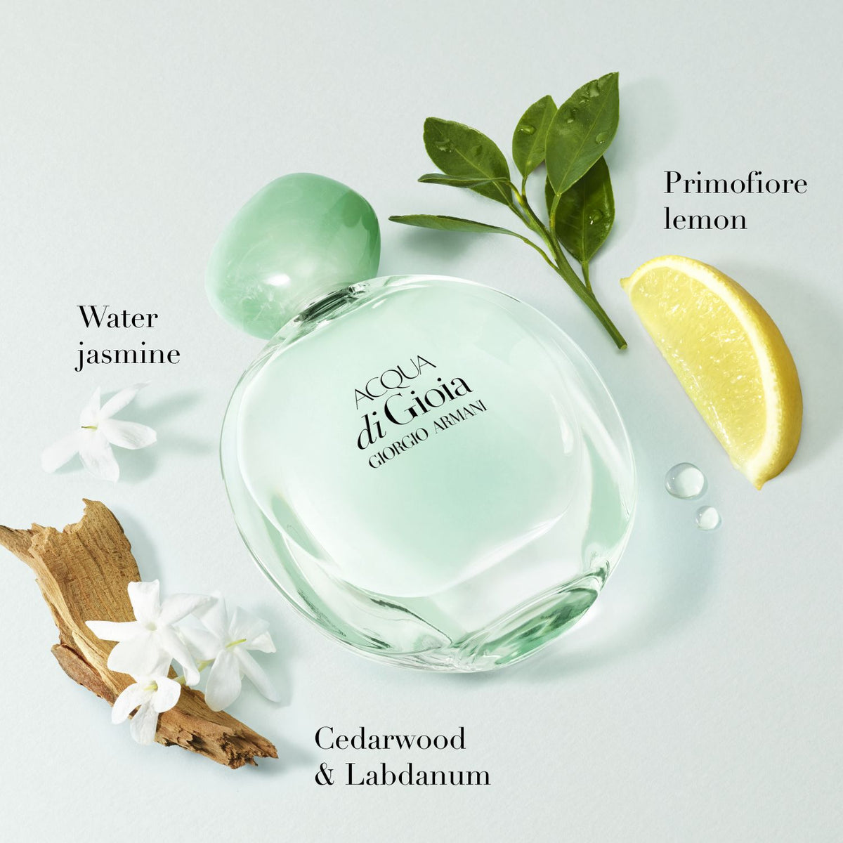 Giorgio Armani Acqua di Gioia Eau de Parfum 2-Piece Holiday Gift Set