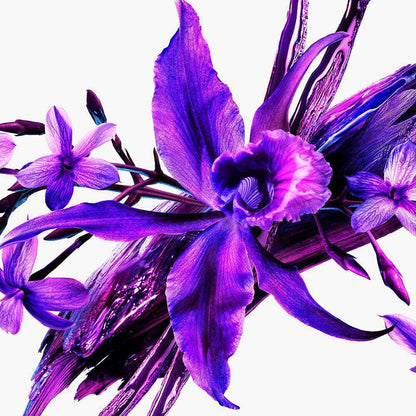 Mugler Alien Extraintense Eau de Parfum Gift Set
