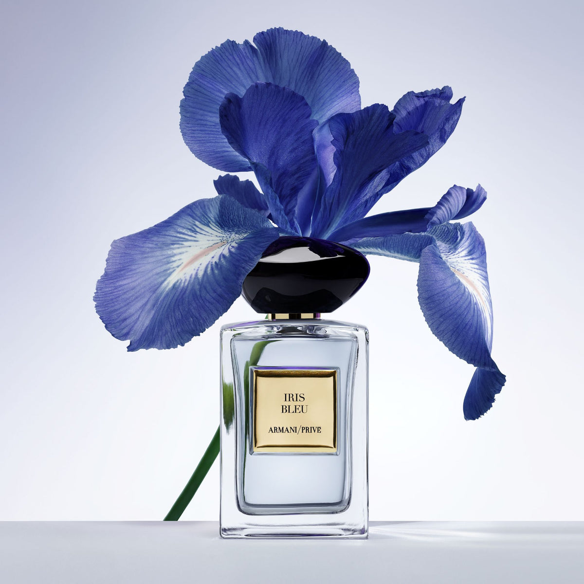 Giorgio Armani Armani/privé Iris Bleu