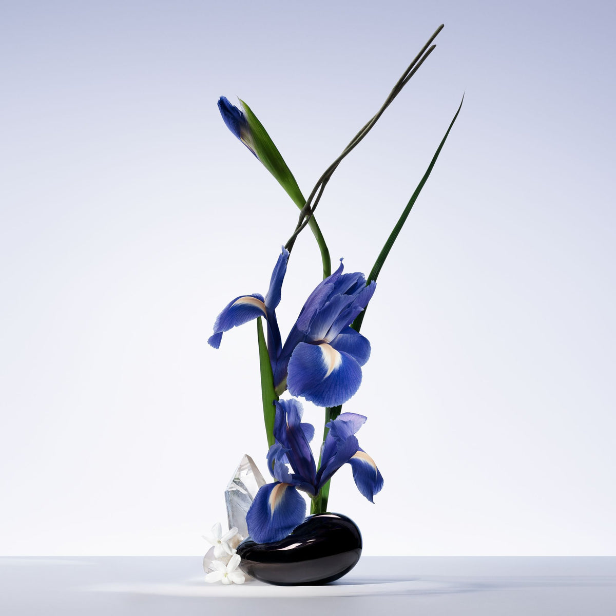 Giorgio Armani Armani/privé Iris Bleu