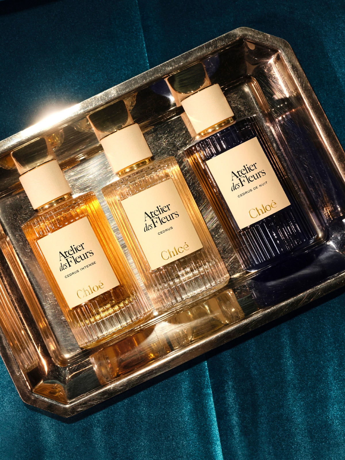 Chloé Atelier des Fleurs Cedrus de Nuit Eau de Parfum