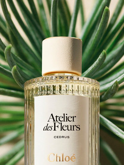 Chloé Atelier des Fleurs Cedrus Eau de Parfum