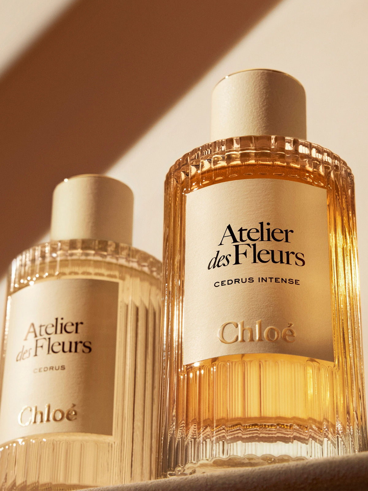 Chloé Atelier des Fleurs Cedrus Intense Eau de Parfum