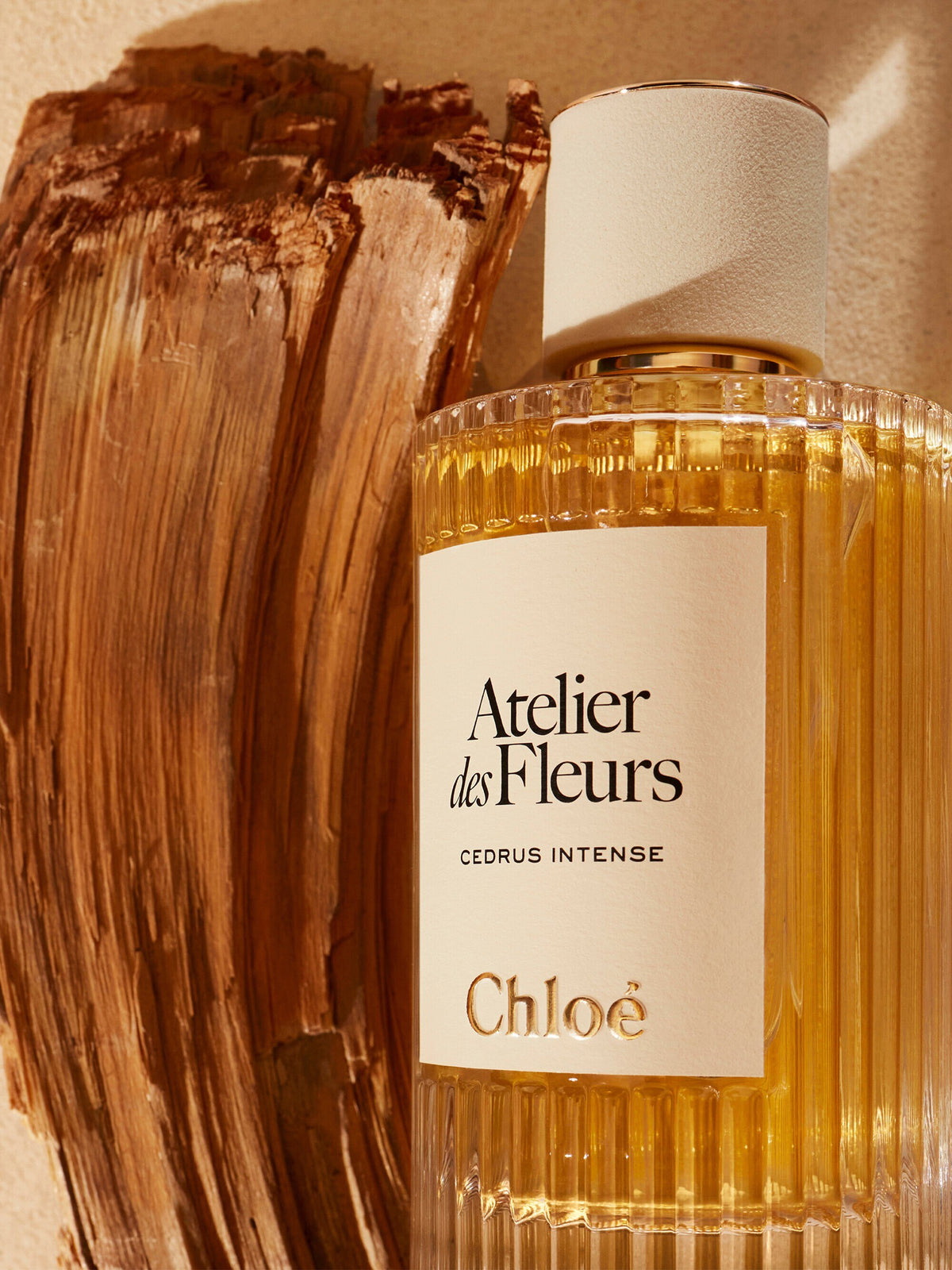 Chloé Atelier des Fleurs Cedrus Intense Eau de Parfum