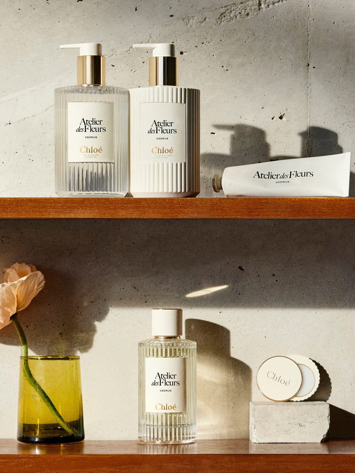 Chloé Atelier des Fleurs Cedrus Solid Perfume