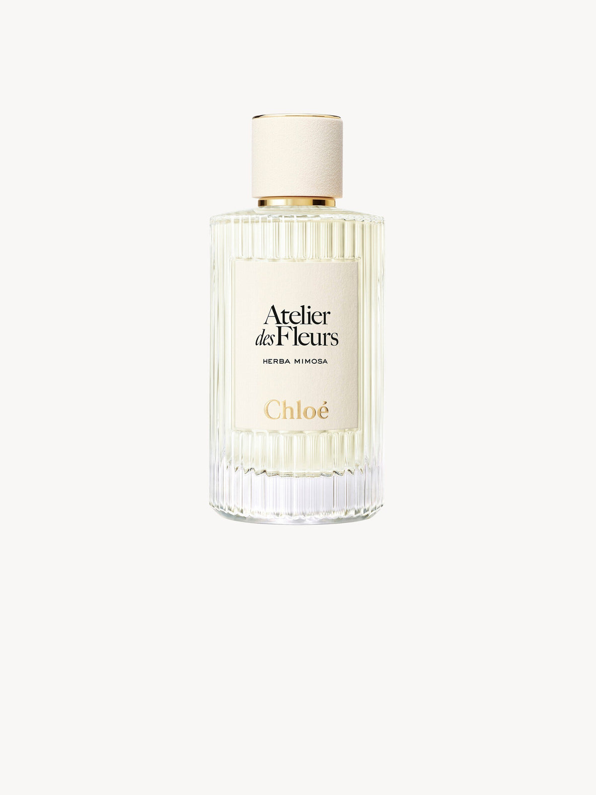 Chloé Atelier des Fleurs Herba Mimosa Eau de Parfum