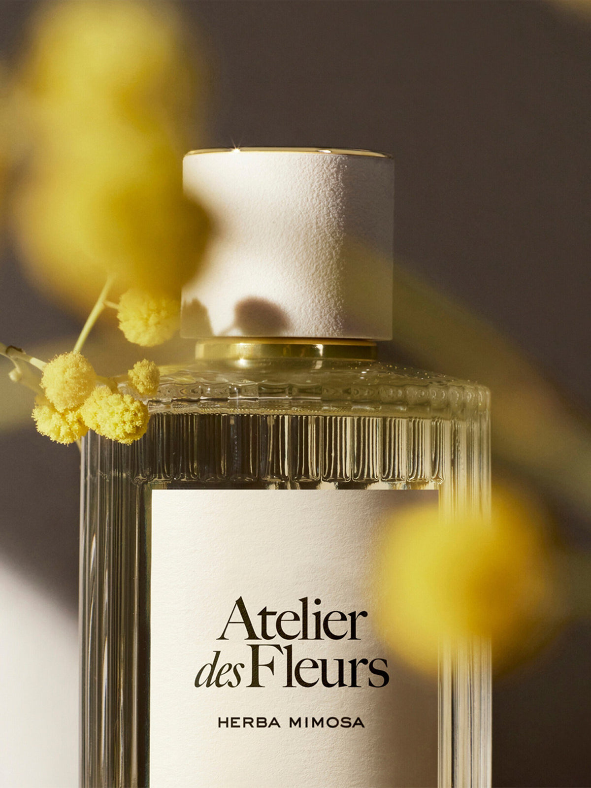 Chloé Atelier des Fleurs Herba Mimosa Eau de Parfum