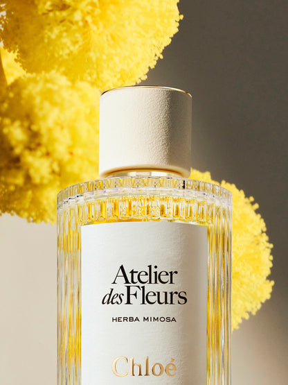 Chloé Atelier des Fleurs Herba Mimosa Eau de Parfum