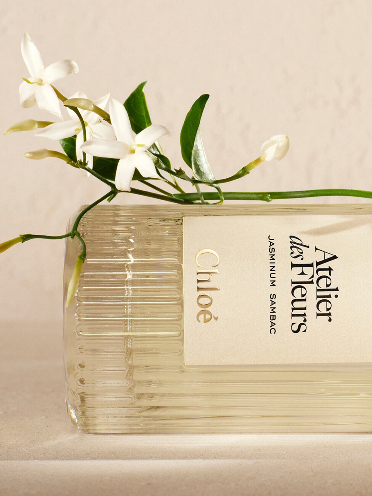 Chloé Atelier des Fleurs Jasminum Sambac Eau de Parfum