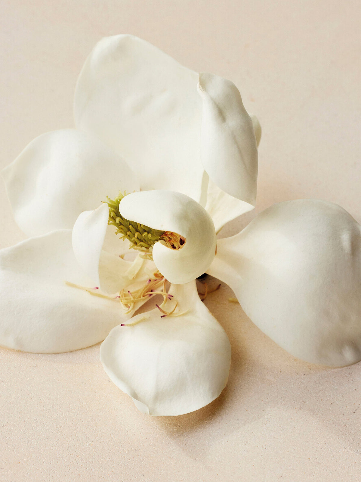 Chloé Atelier des Fleurs Magnolia Alba Eau de Parfum