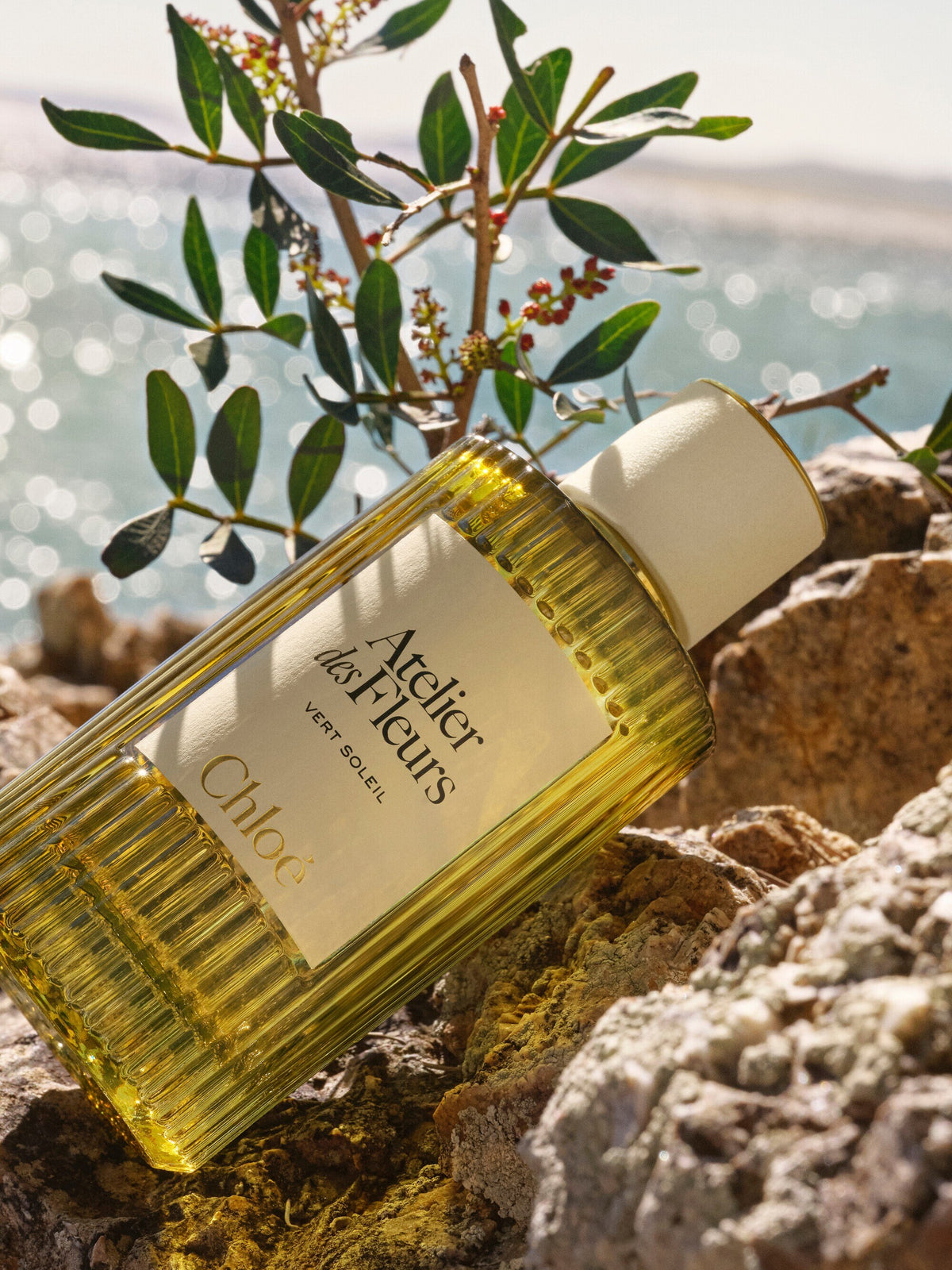 Chloé Atelier des Fleurs Vert Soleil Eau de Parfum