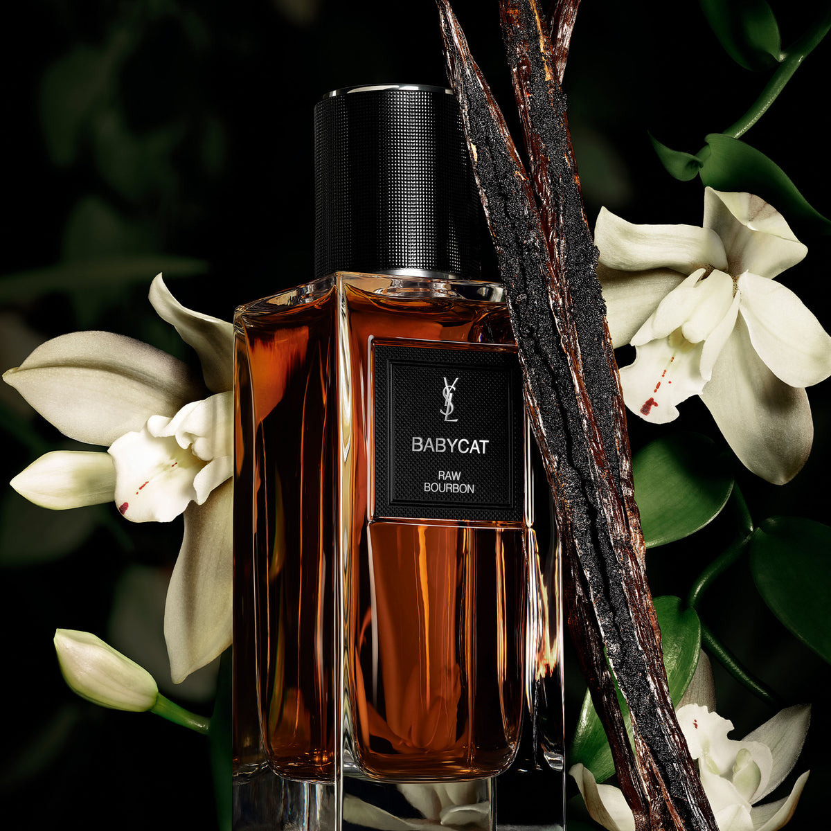 Yves Saint Laurent Babycat - Le Vestiaire des Parfums
