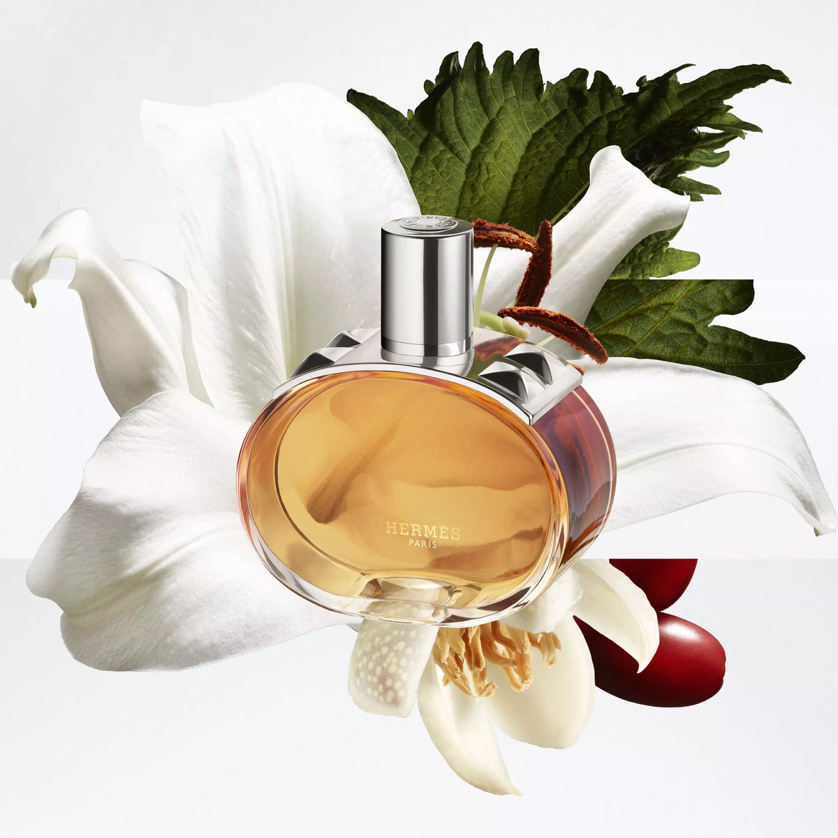 Hermès Barénia Pleine Fleur Eau de parfum