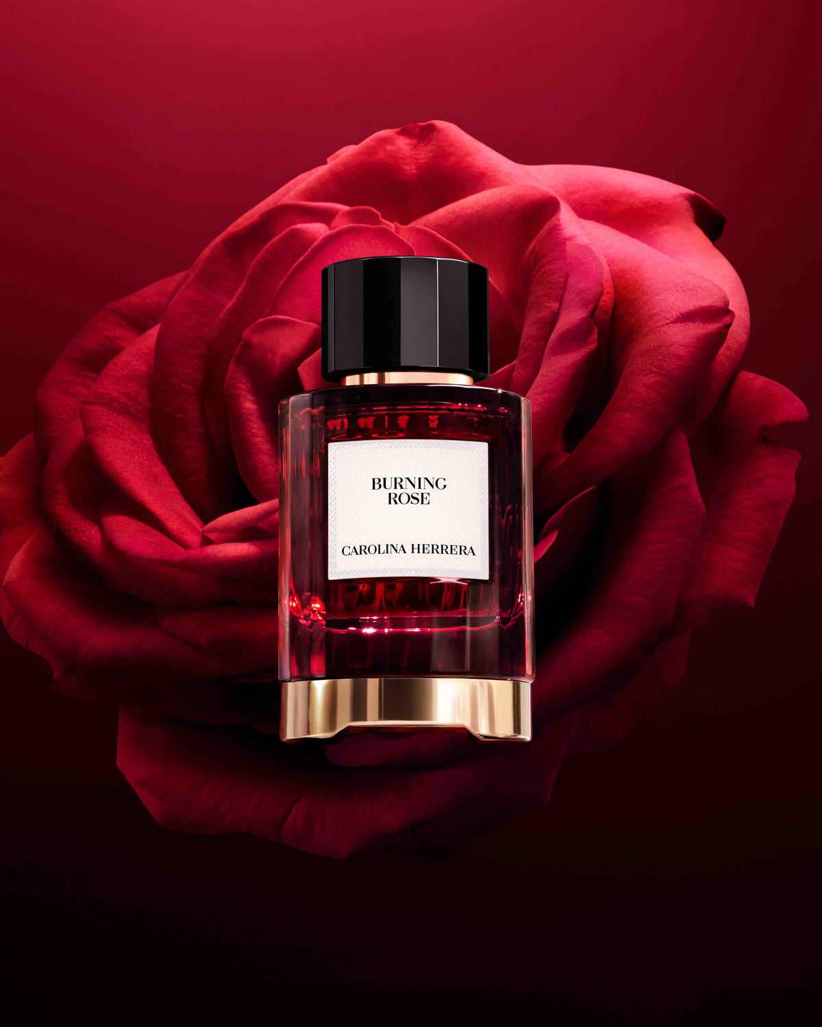 Carolina Herrera Burning Rose Eau de Parfum