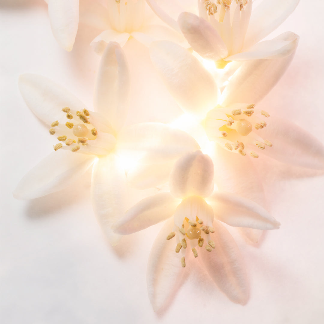 Bvlgari Bvlgari Allegra Neroli Magnifying Eau de Parfum
