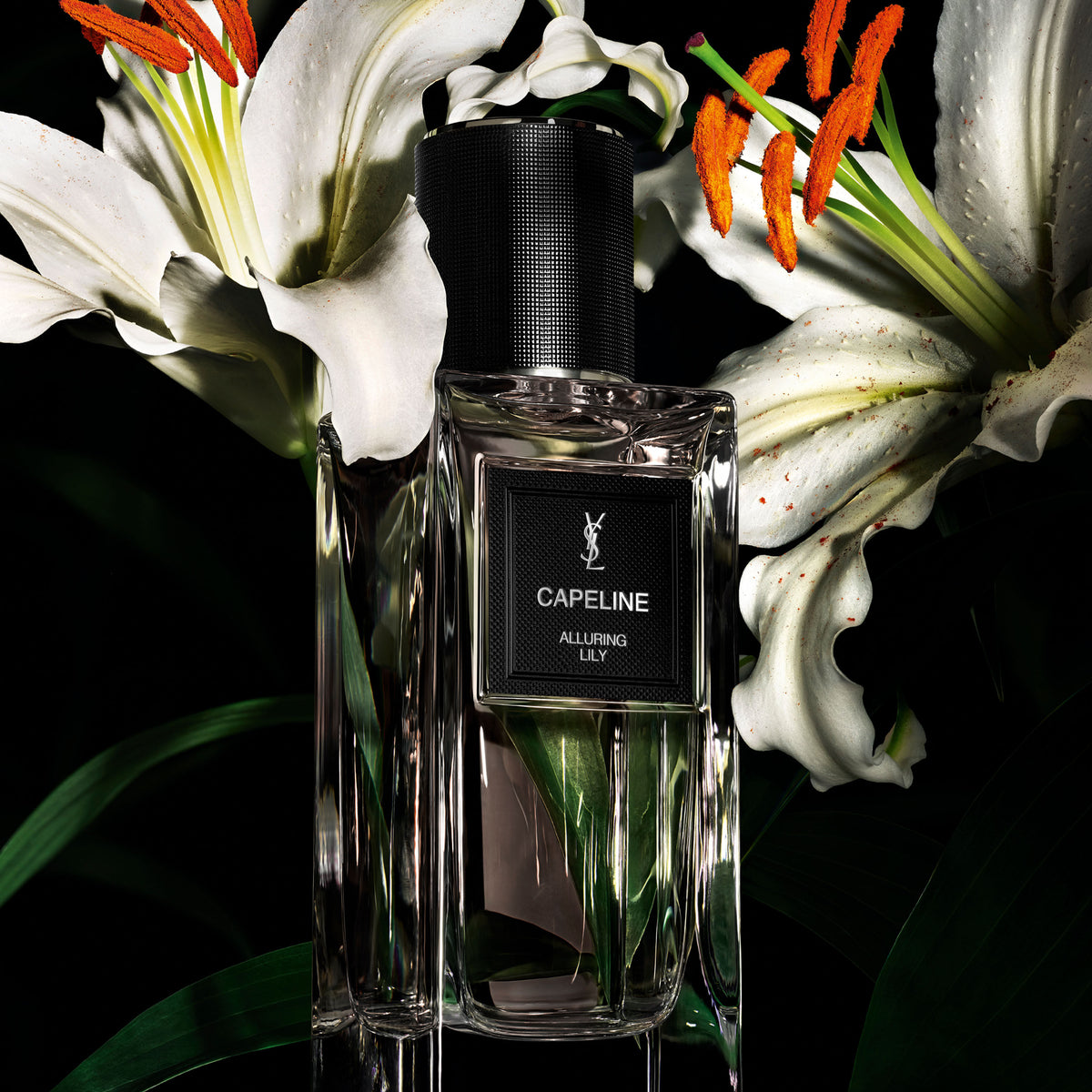 Yves Saint Laurent Capeline - Le Vestiaire des Parfums