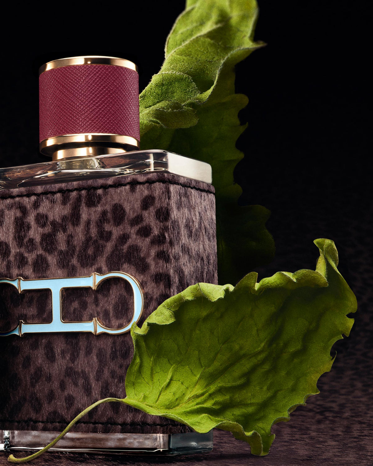 Carolina Herrera CH Men Wild Love Limited Edition Eau de Parfum
