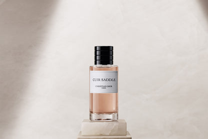 Dior Cuir Saddle