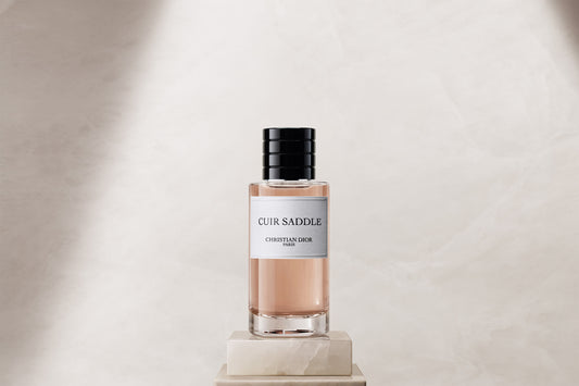 Dior Cuir Saddle