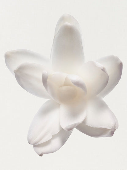 Chanel Gardénia Scented Body Oil