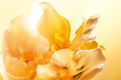 Dior J'adore Eau de Parfum Roller-Pearl