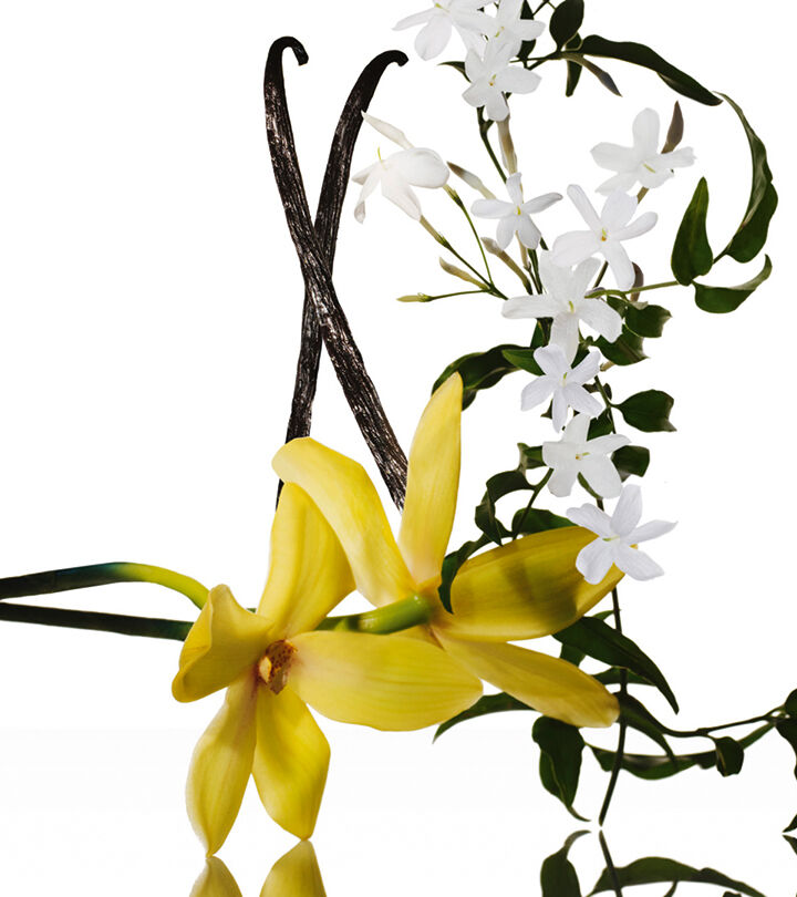 Narciso Rodriguez jasmine musc Eau de Parfum Intense