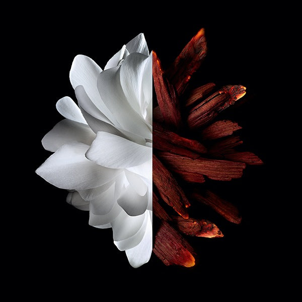 Givenchy L'Interdit Rouge Roll On