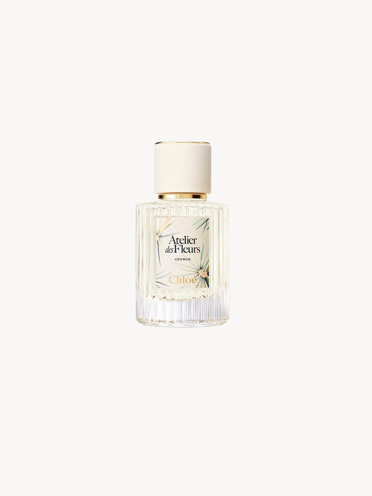 Chloé Limited-Edition Atelier des Fleurs Cedrus Eau de Parfum