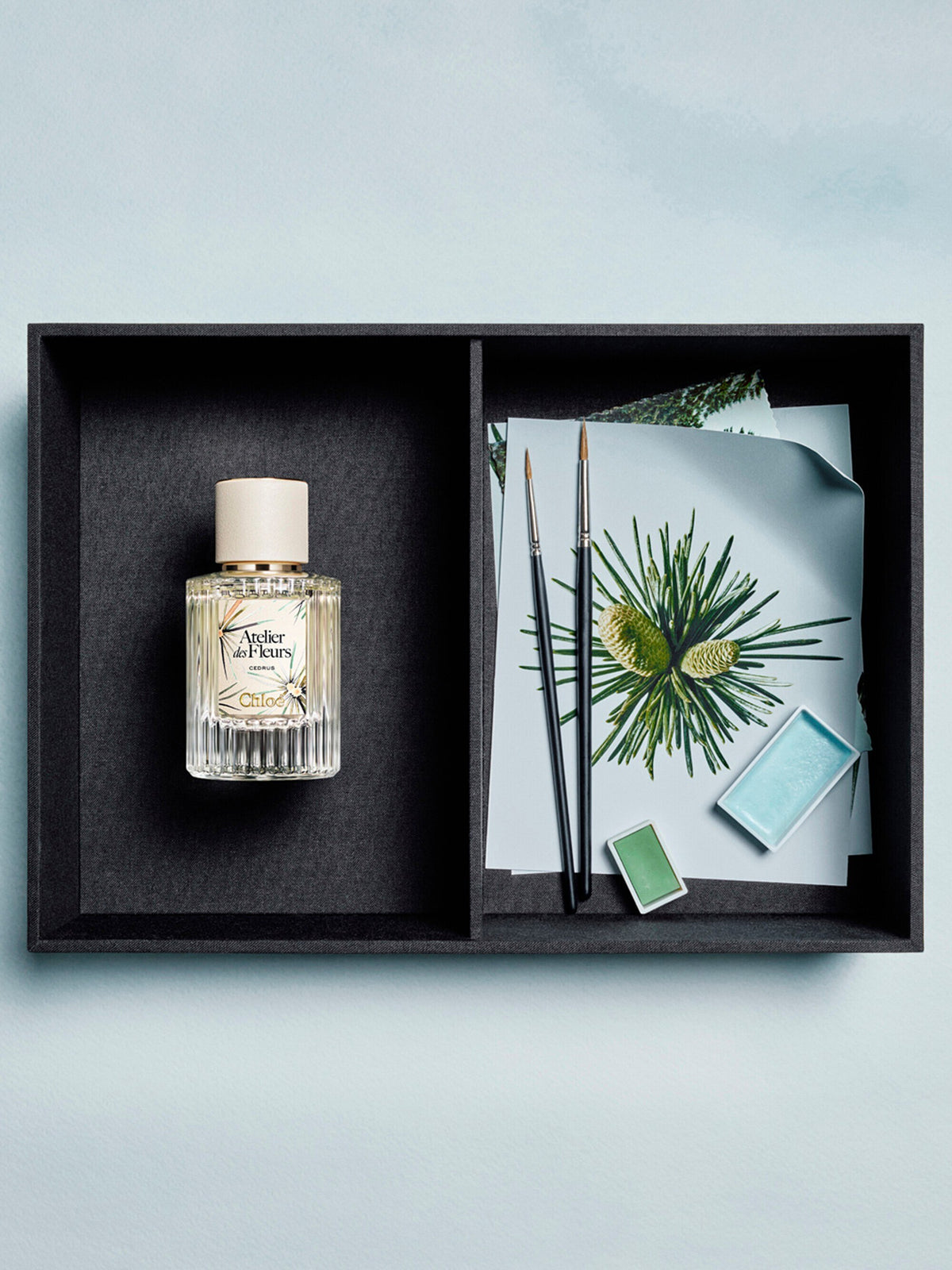 Chloé Limited-Edition Atelier des Fleurs Cedrus Eau de Parfum