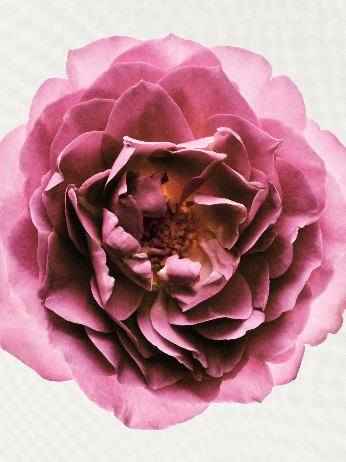 Chanel Misia Eau de Parfum