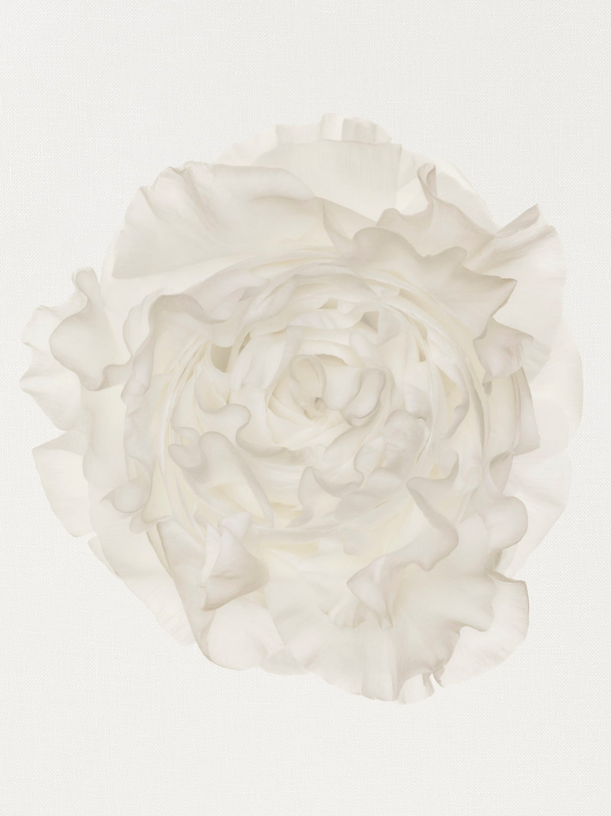 Chanel N°22 Eau de Parfum