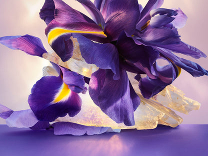 Bvlgari Omnia Amethyste Eau de Parfum
