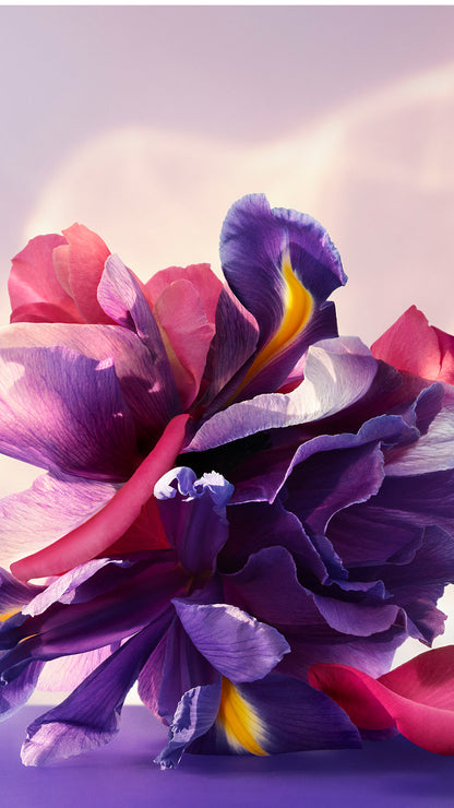 Bvlgari Omnia Amethyste Eau de Parfum
