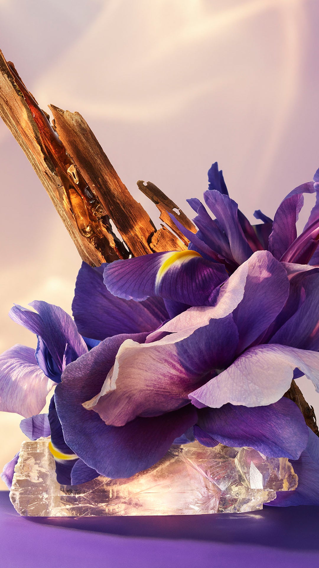 Bvlgari Omnia Amethyste Eau de Parfum