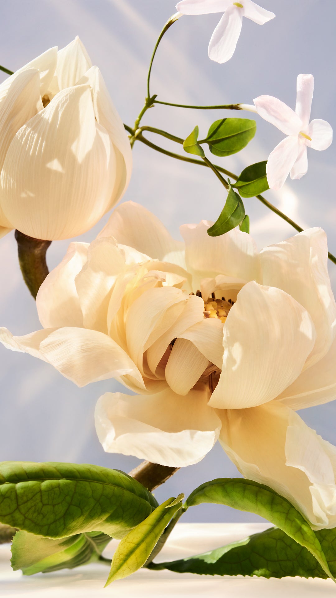 Bvlgari Omnia Crystalline Eau de Parfum
