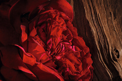 Dior Oud Ispahan