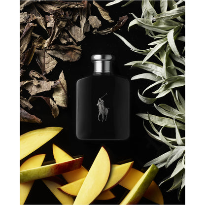 Ralph Lauren Polo Black Eau de Toilette