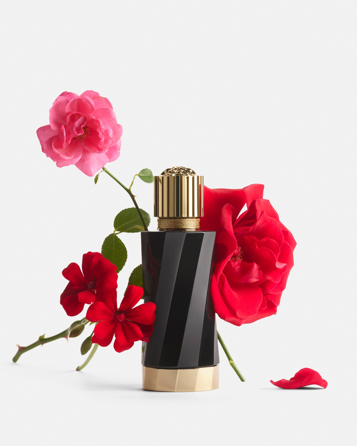 Versace Rose Flamboyante EDP