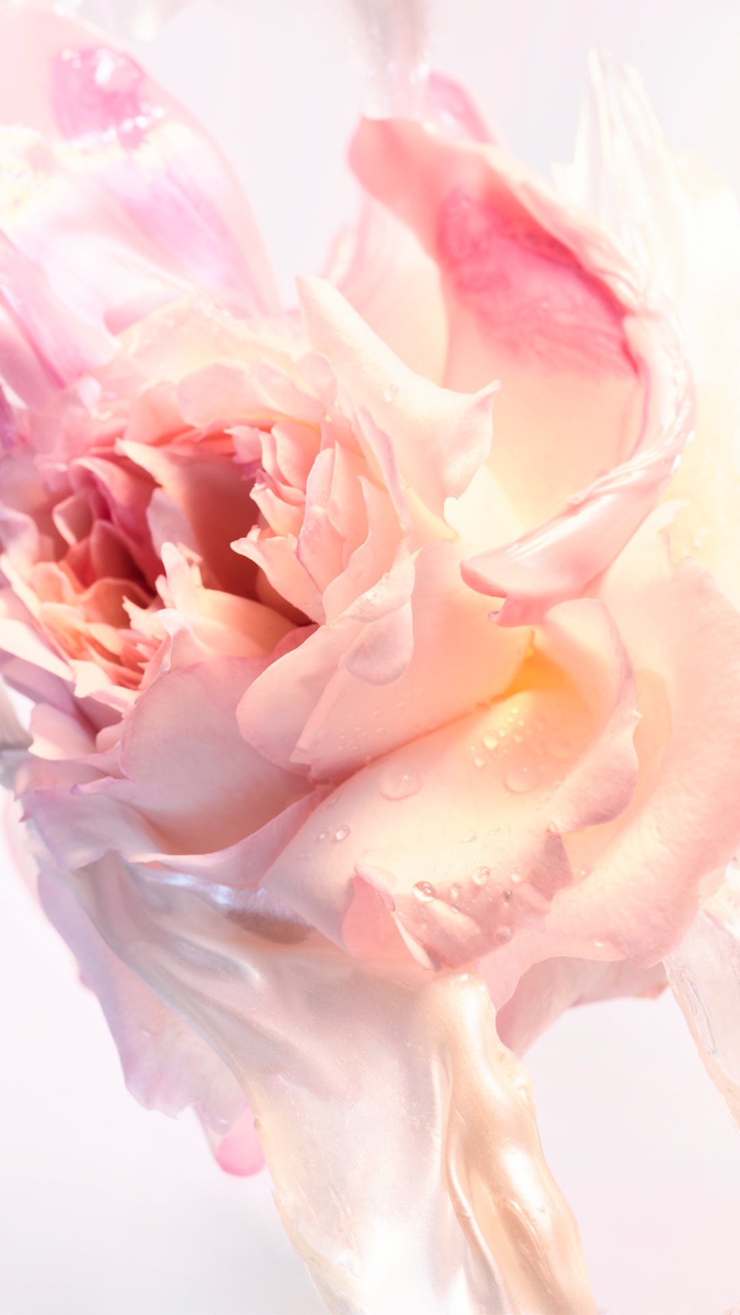 Bvlgari Rose Goldea Blossom Delight Eau de Toilette