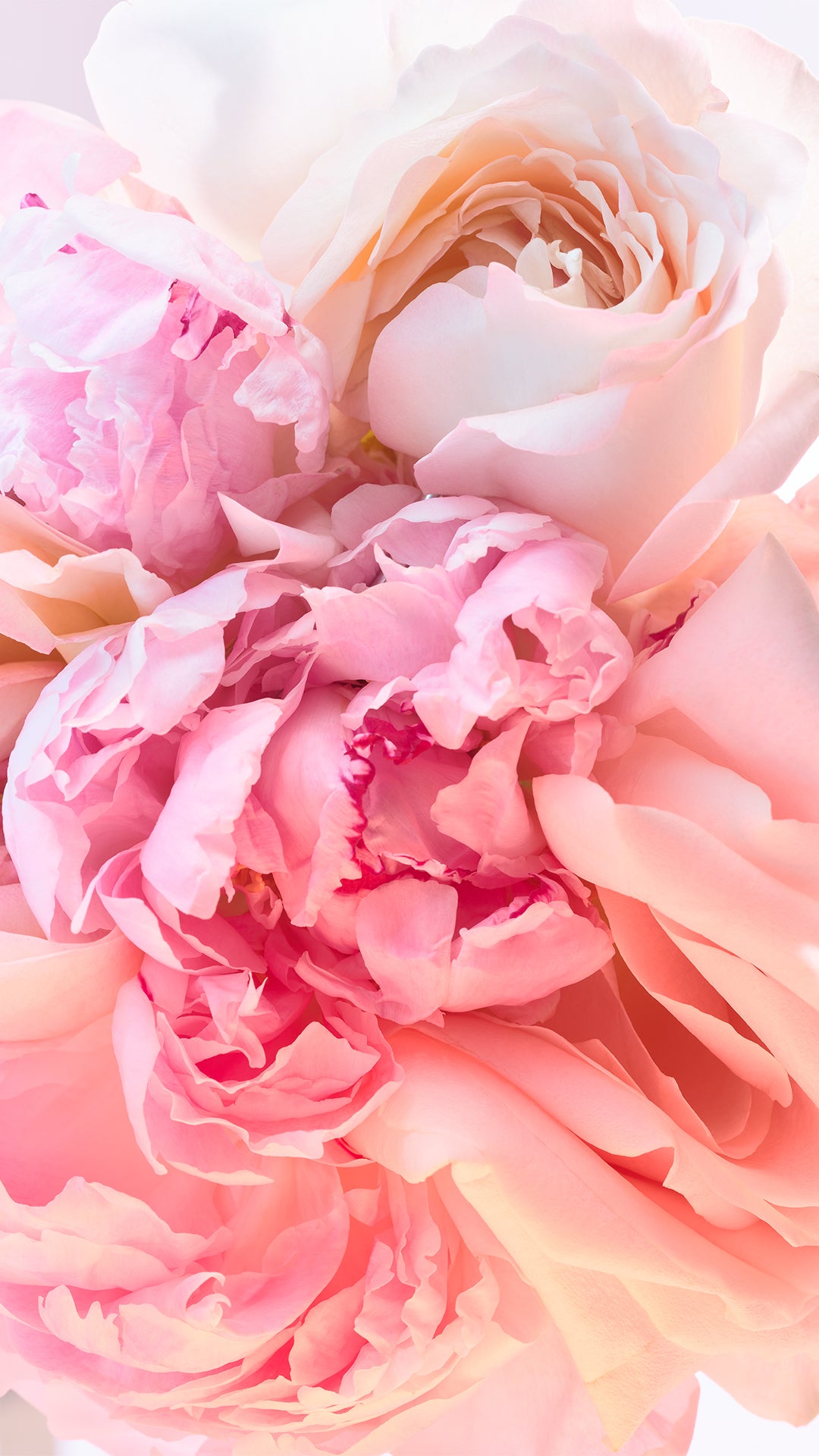Bvlgari Rose Goldea Blossom Delight Eau de Toilette