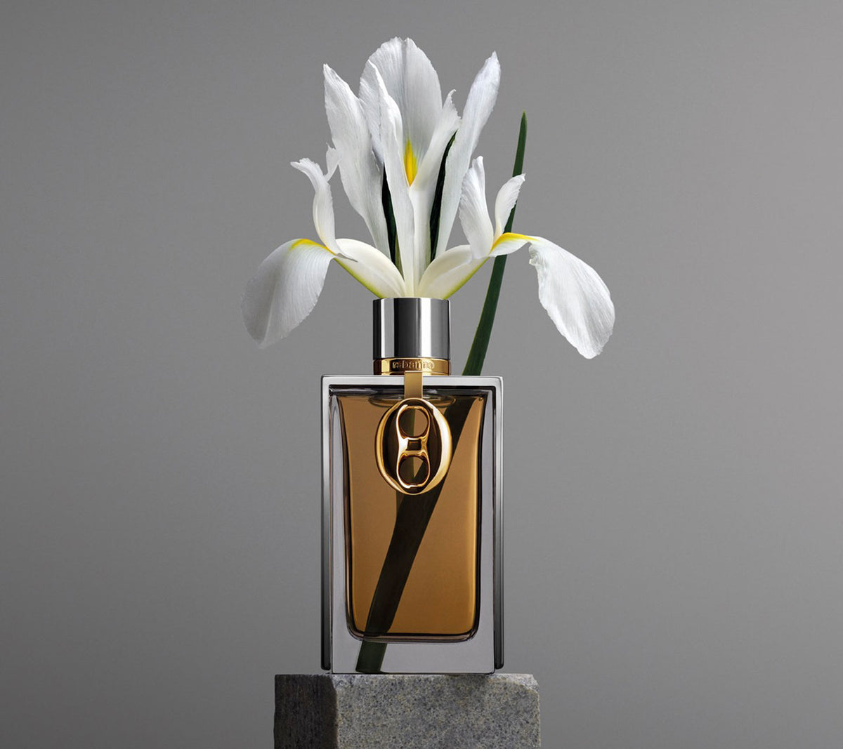 Rabanne Silver Skin Eau de Parfum
