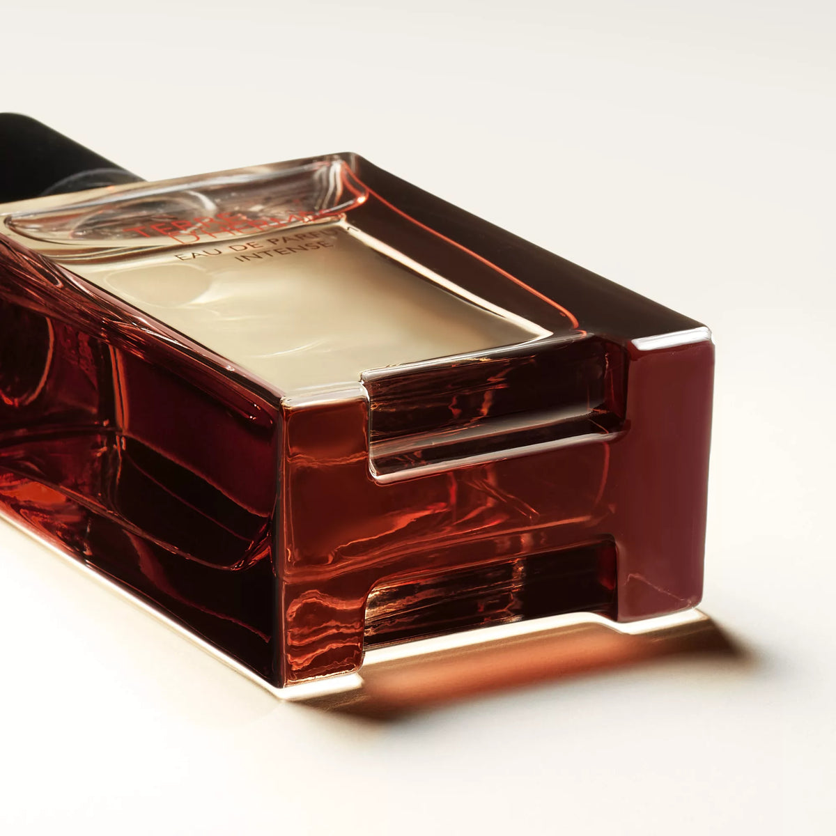 Hermès Terre d'Hermès Eau de parfum intense