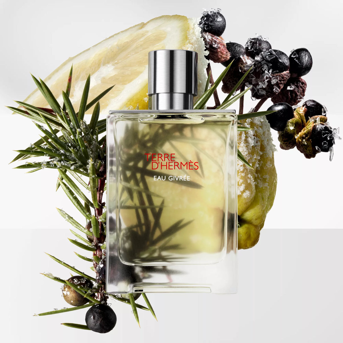 Hermès Terre d'Hermes Eau Givree Eau de parfum