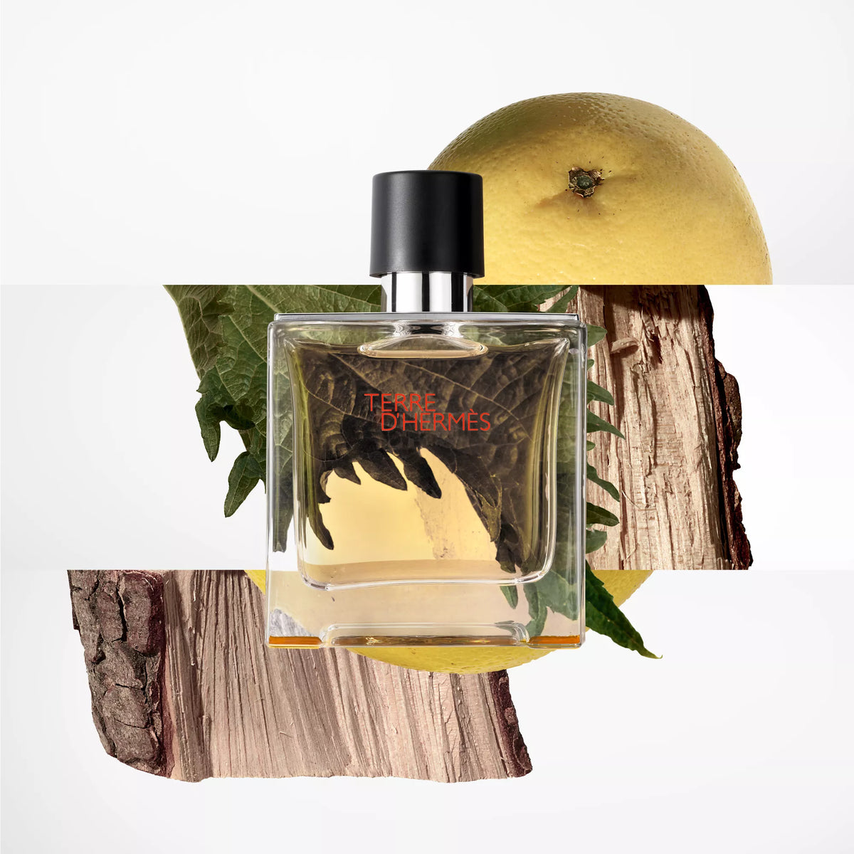 Hermès Terre d'Hermes Parfum travel spray and refill