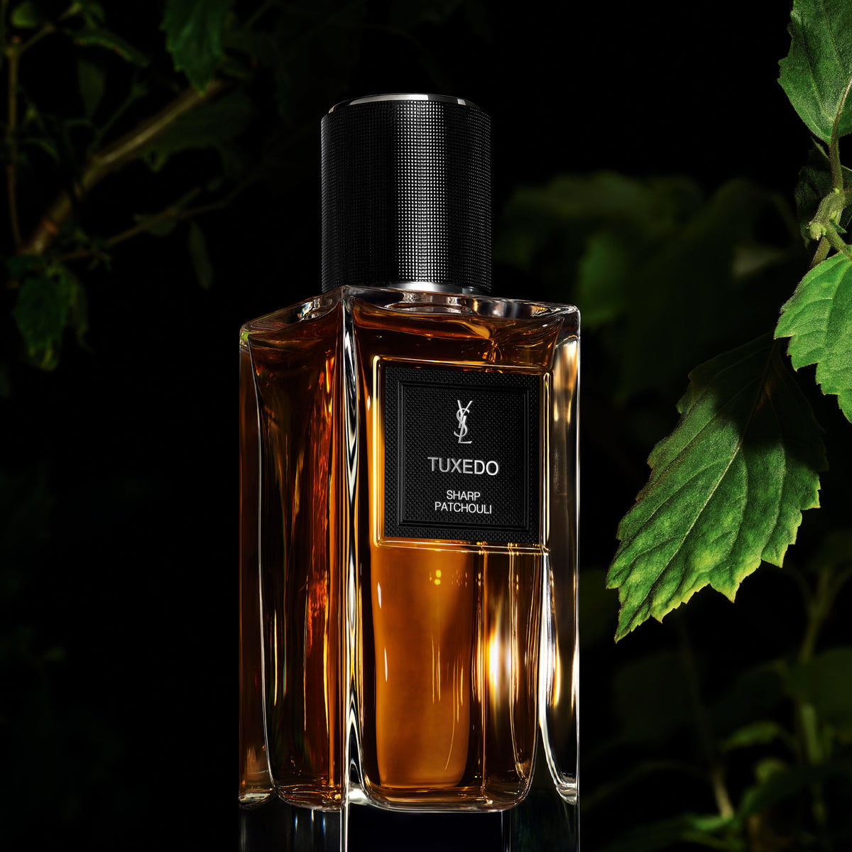 Yves Saint Laurent Tuxedo - Le Vestiaire des Parfums