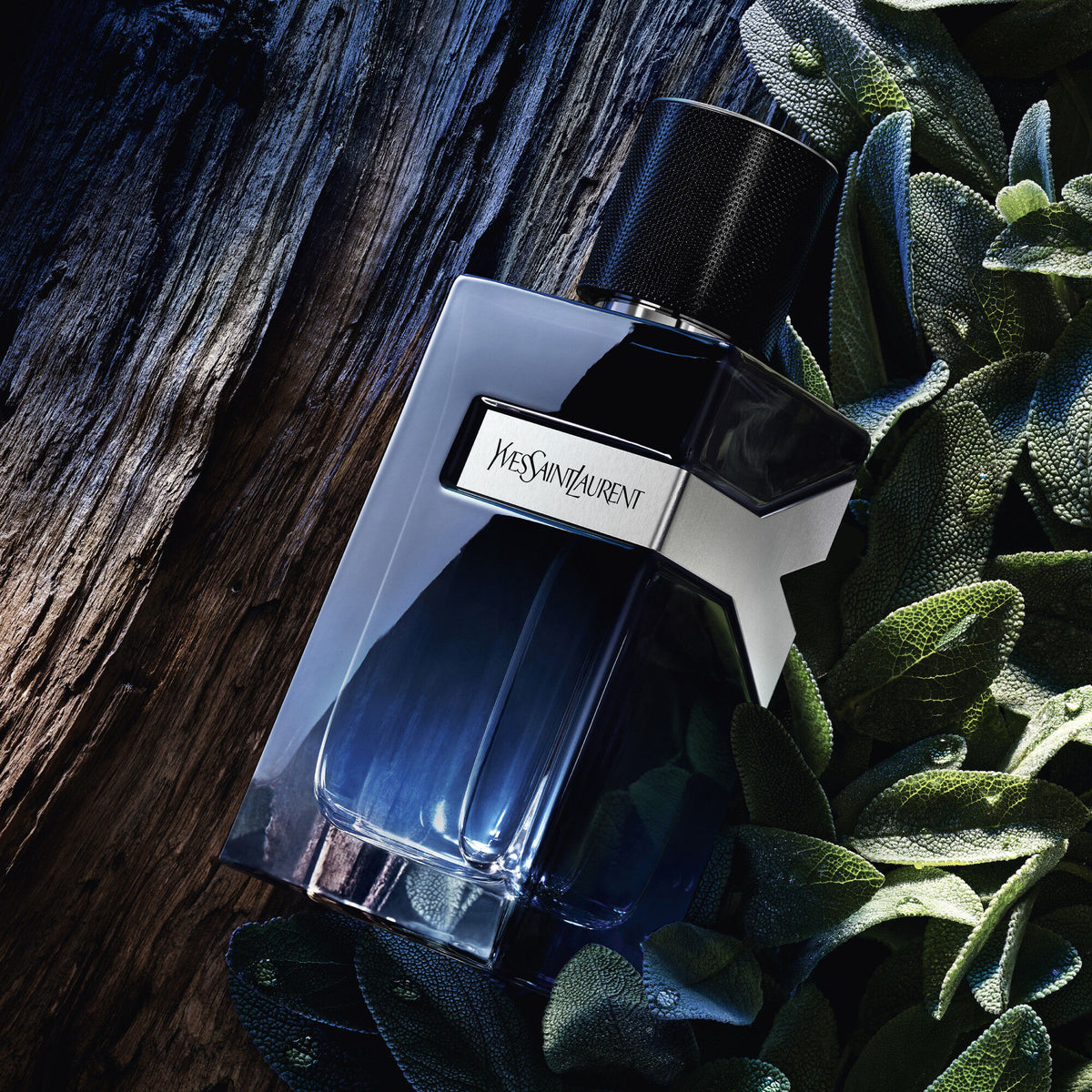 Yves Saint Laurent Y Le Parfum Gift Set